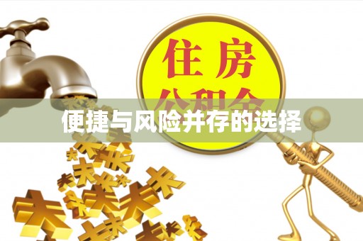 亭湖便捷与风险并存的选择